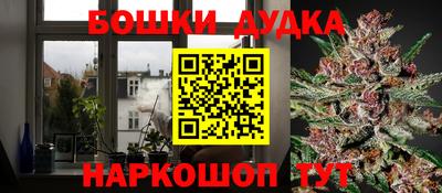 альфа пвп Новокубанск