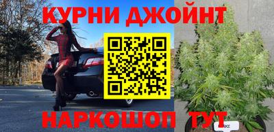 альфа пвп Новокубанск