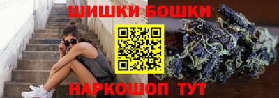 винт Новозыбков