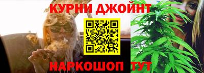 винт Новозыбков