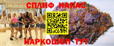 альфа пвп Новокубанск