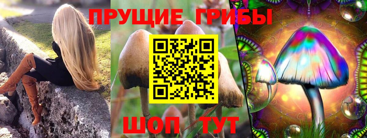 Псилоцибиновые грибы ЛСД  Псилоцибиновые грибы Magic Shrooms  Вход с VPN  Тосно 