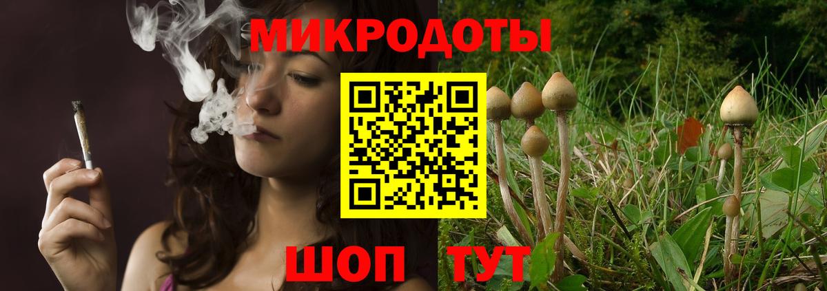 Галлюциногенные грибы MAGIC MUSHROOMS Тосно