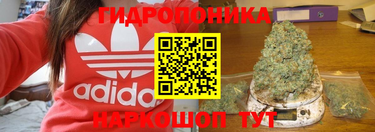 Марихуана семена  Вход с VPN  Тосно  Бошки марихуана тримм 